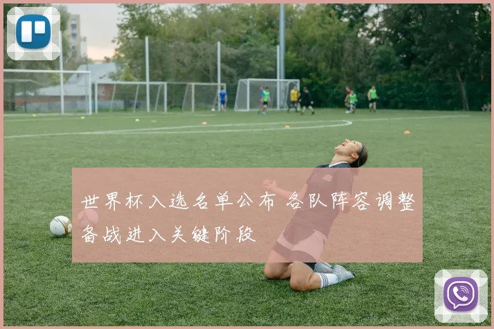 世界杯入选名单公布 各队阵容调整备战进入关键阶段